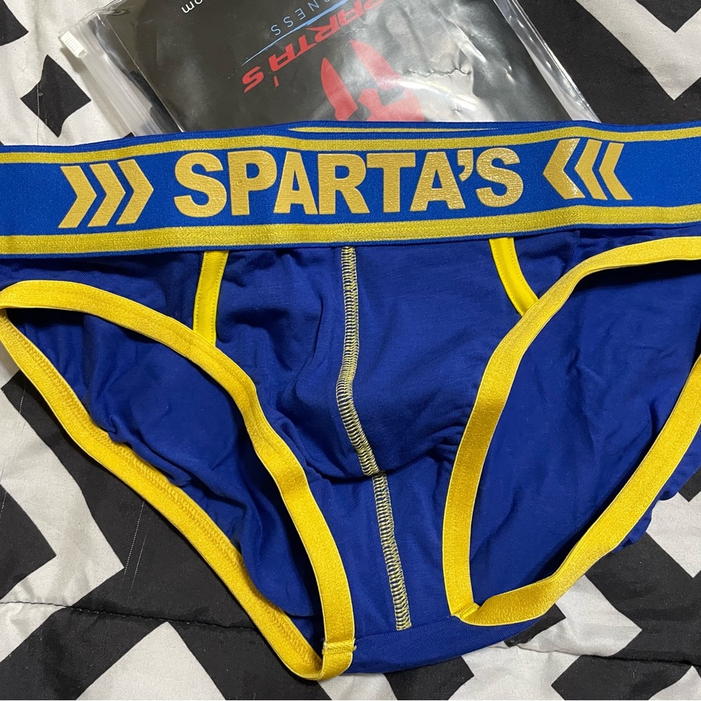 Spartan harness briefs